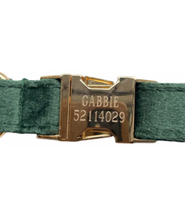 Halsbånd med gravering - Velour - Image 2