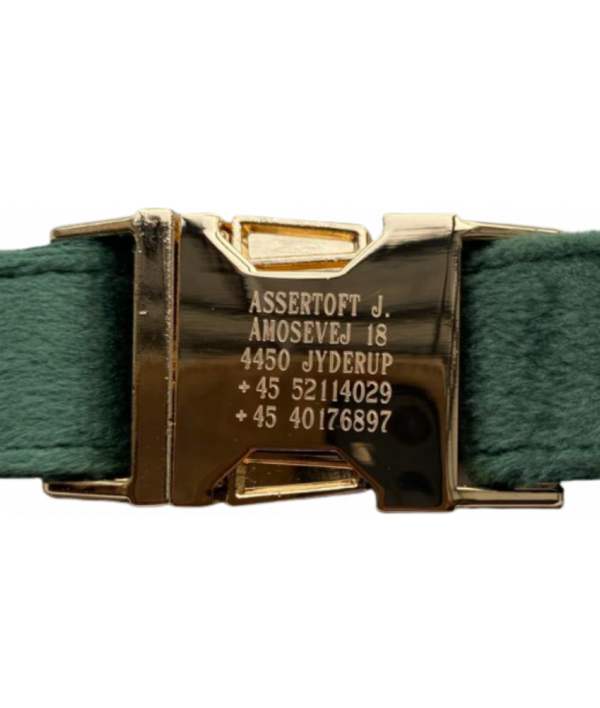 Halsbånd med gravering - Velour - Image 3