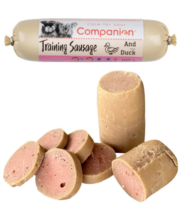 Companion træningspølse med And