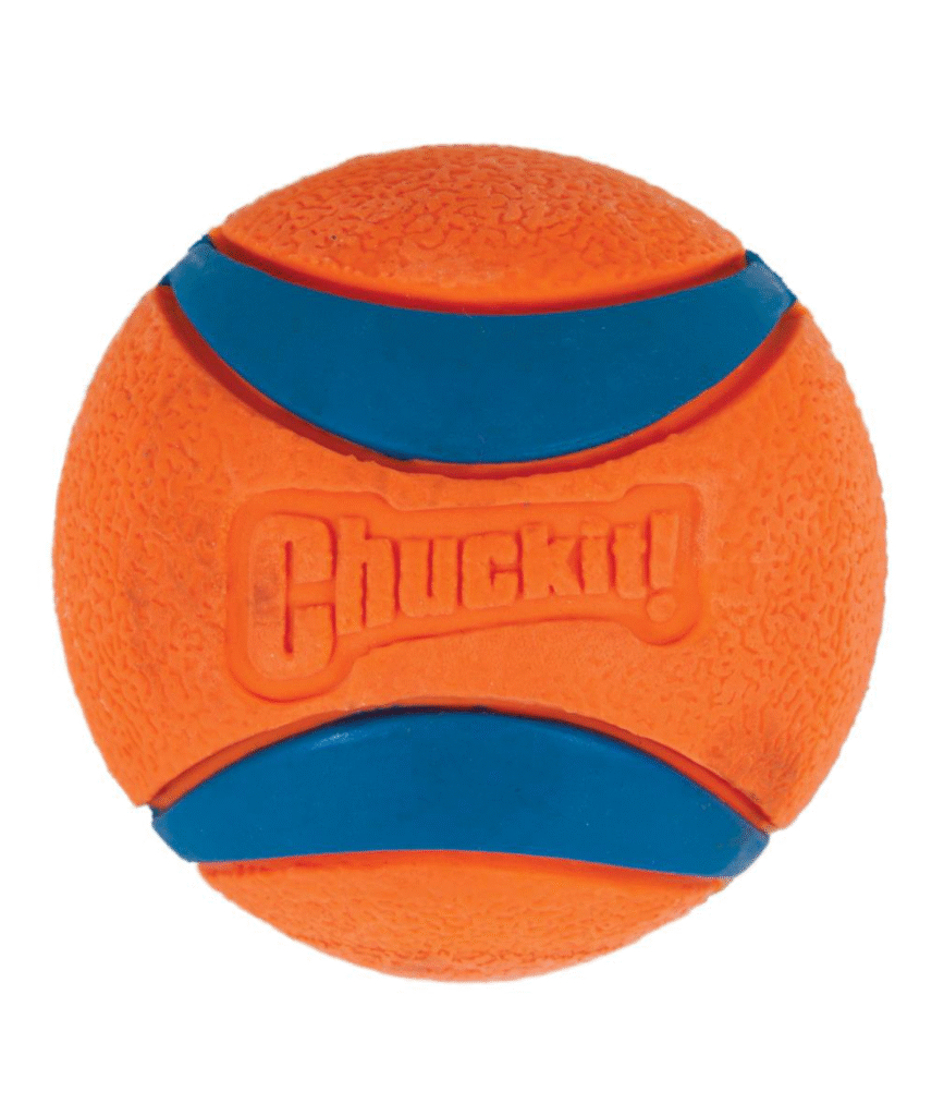 Chuckit XL
