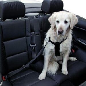 Autosele til hunden